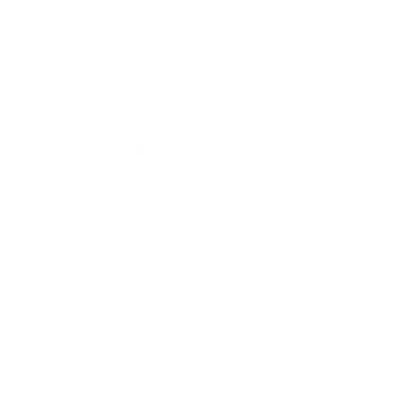 Stainless Steel RFID Wallet