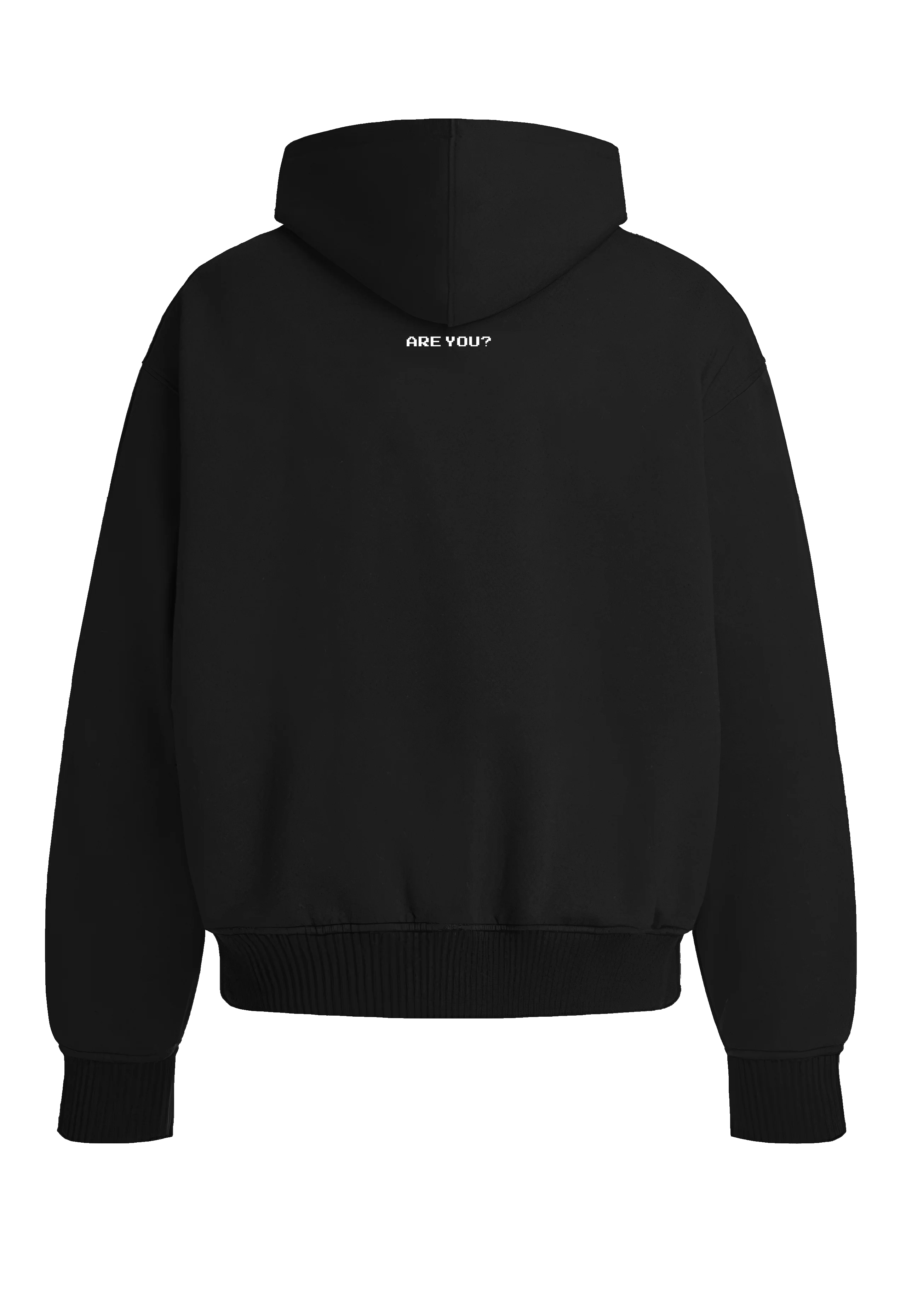 Case Dismissed Hoodie - Back View