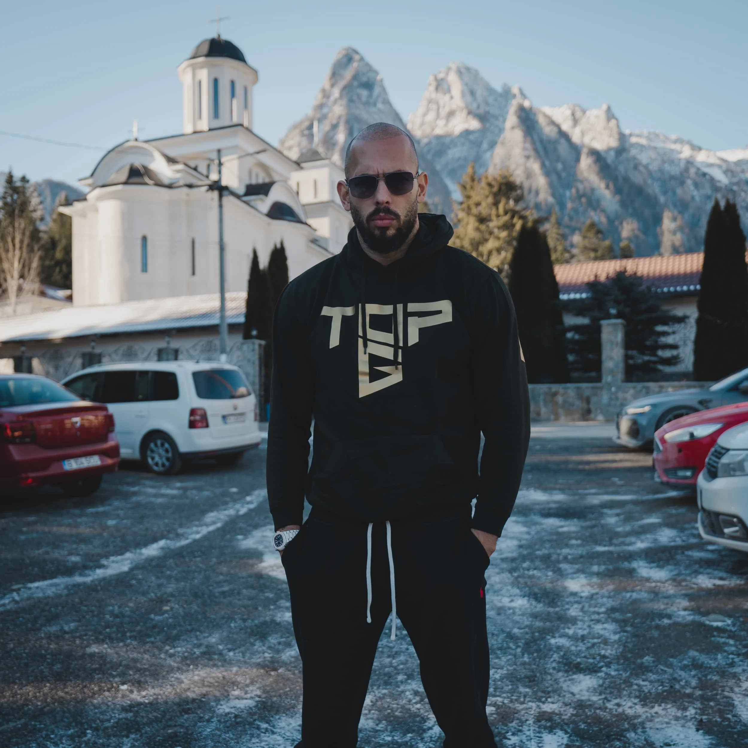 Cobra's Shield Hoodie - Detail View